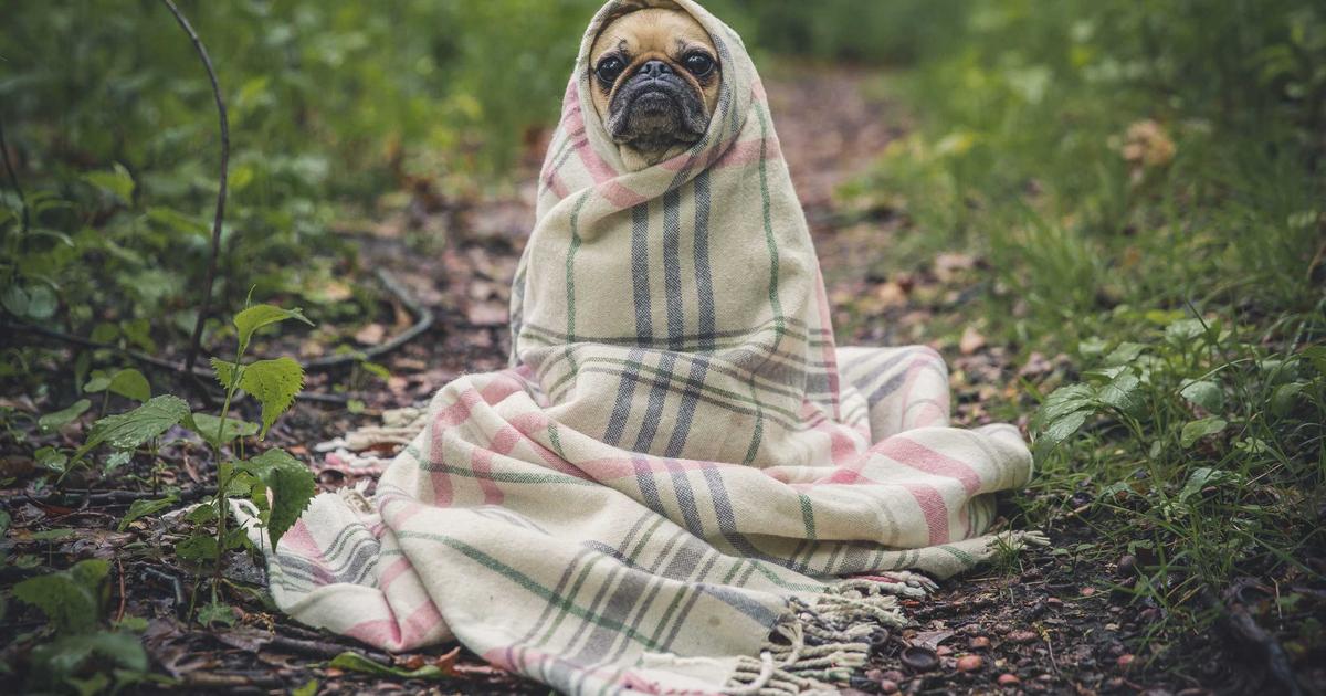 Unleash the Treasures of Pan Arcadia: A Thunderkick Slot Adventure