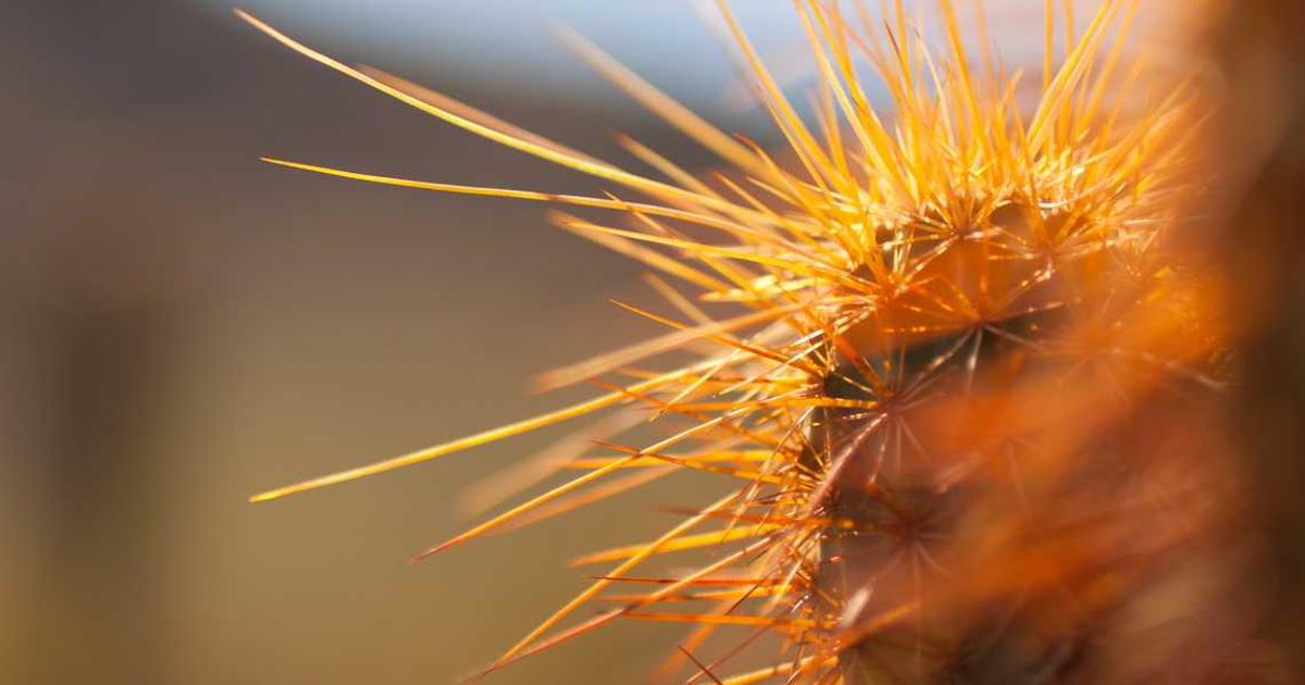 Nevada's November Revenue Soars Despite Dip in Visitors, Fueled by F1 Grand Prix