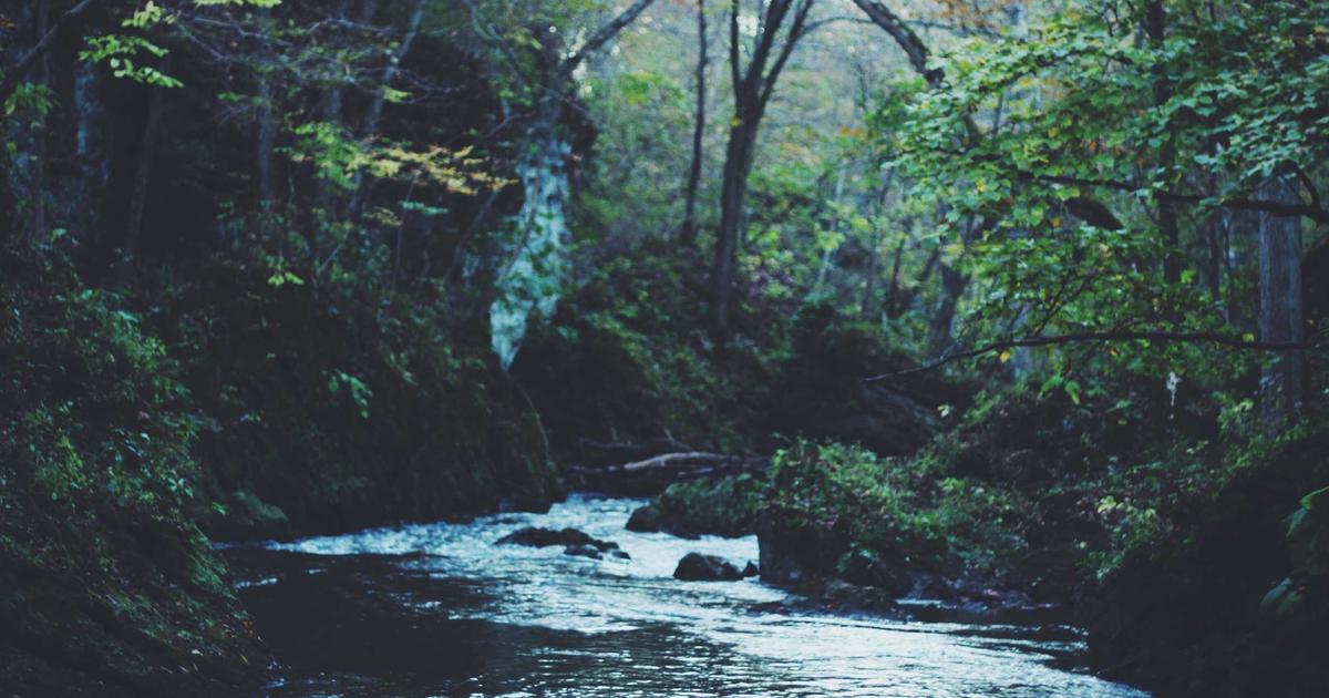 France Unveils New Rules for Play-to-Earn and NFT Gaming