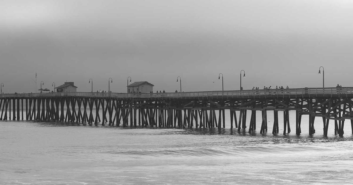 Nevada Senator Demands CFTC Crack Down on Prediction Market Insider Trading