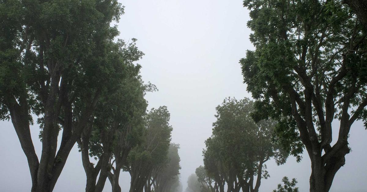 Greece's iGaming Boom: The Secret Powerhouse of European Betting