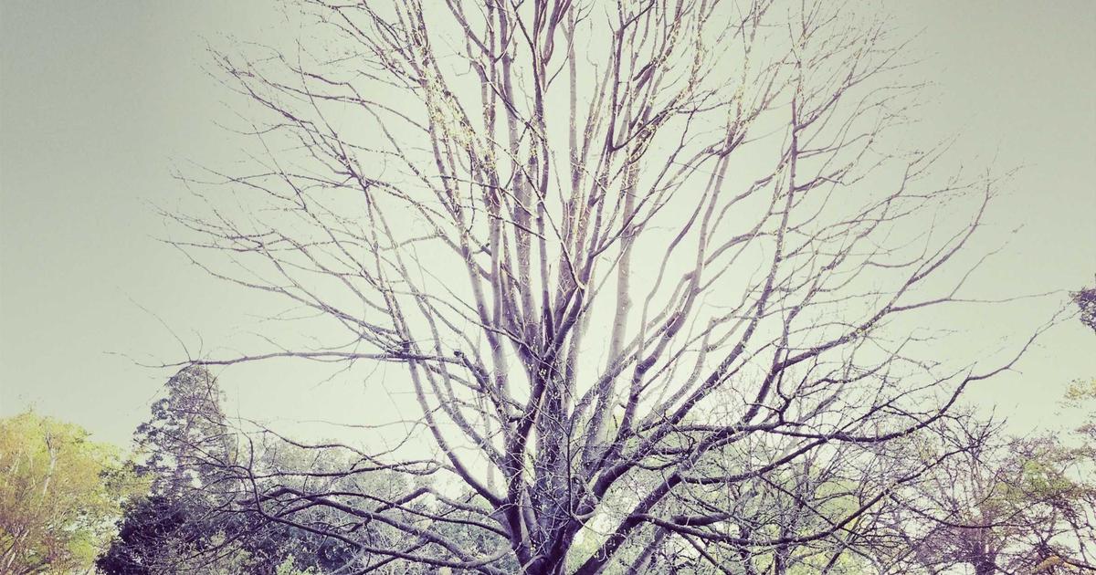 Unlocking LatAm's 2026 ICE Potential: Why Regulation is the Key