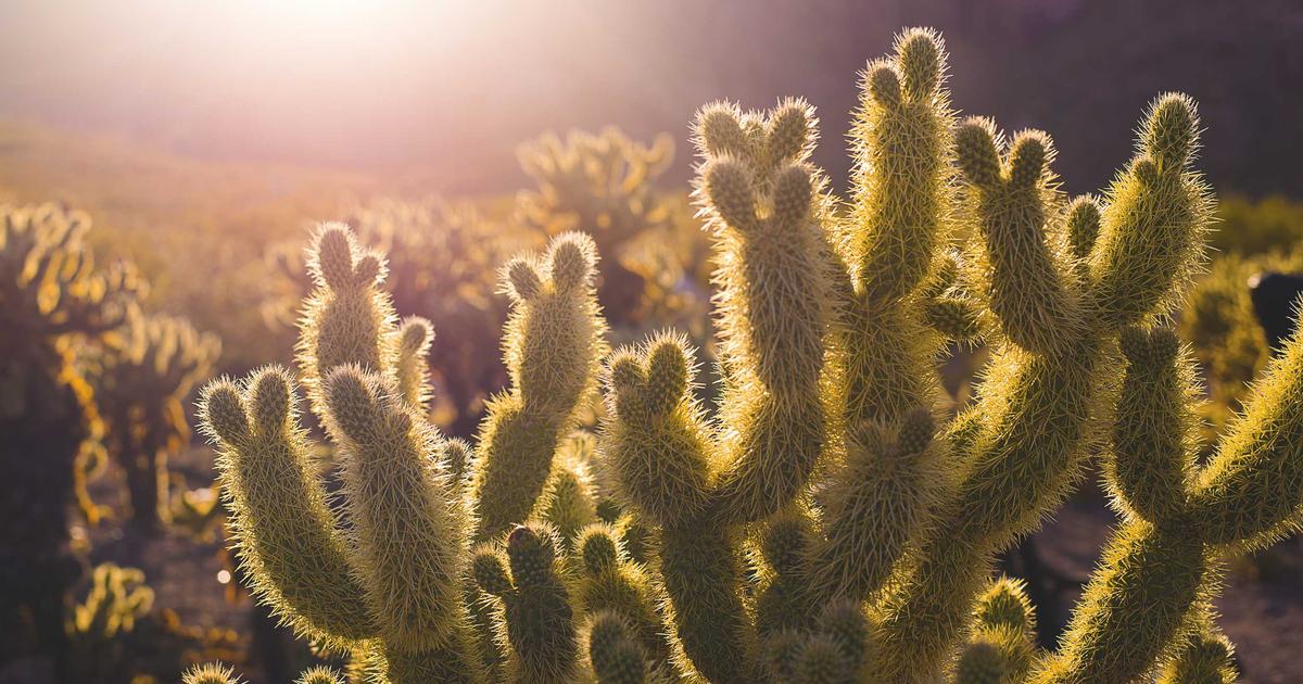 Will Prediction Markets Finally Go Mainstream? US Legislation Explained