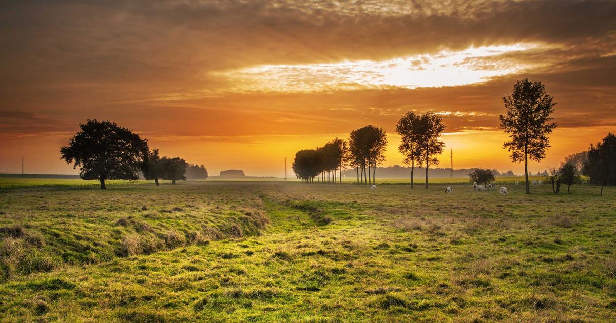 Bally's Las Vegas to Prioritize Retail Expansion Over Casino Renovations