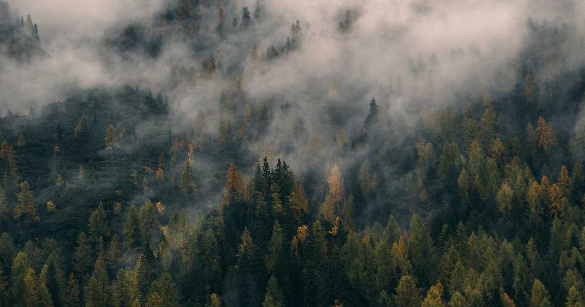 Stats Perform Secures Exclusive FIFA Betting Data Partnership in Landmark Deal