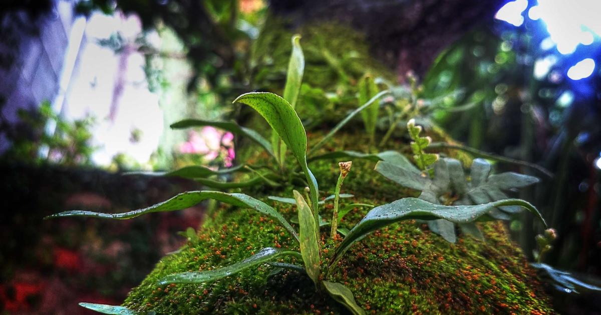 Unlock Your Best Game: The H2-Powered Mobile Gaming Dashboard