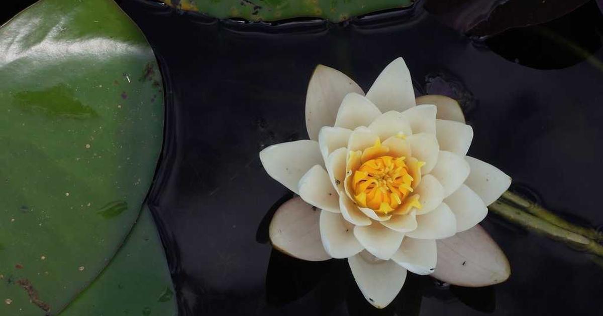 A Decade of Distinction: Celebrating 10 Years of Amusnet's Industry Leadership