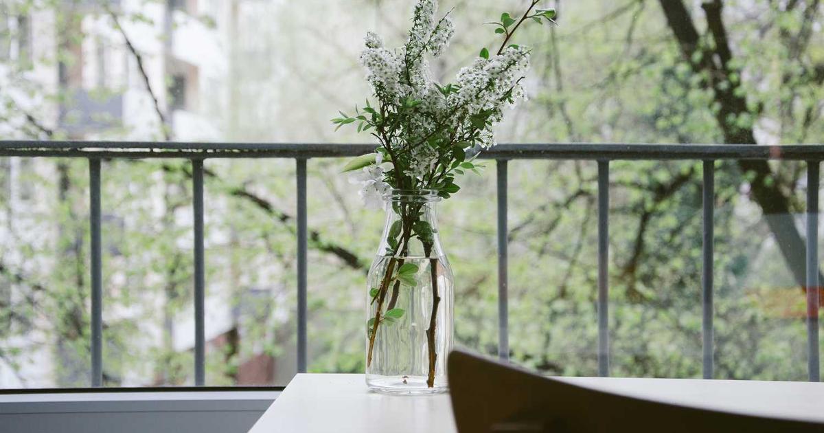 New York Sports Betting Soars to Record Highs in December