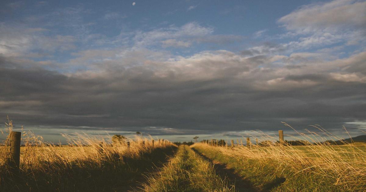 Allwyn's €550 Million Bond Sale & Tabcorp's Landmark Rights Deal: Weekend's Biggest Gaming Moves