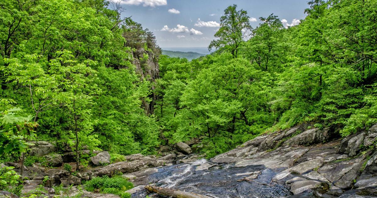 Coljuegos Launches New Crackdown on Illegal Slot Machine Imports